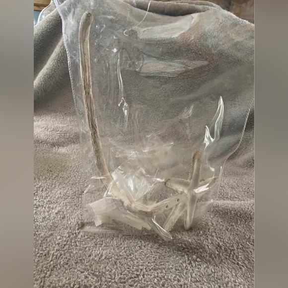 Starfish Toilet Tissue Holder - Cream - Picture 4 of 6